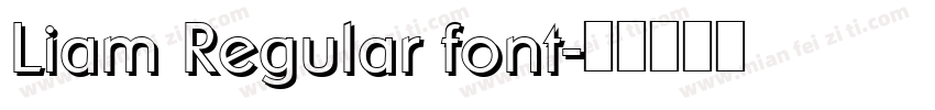 Liam Regular font字体转换